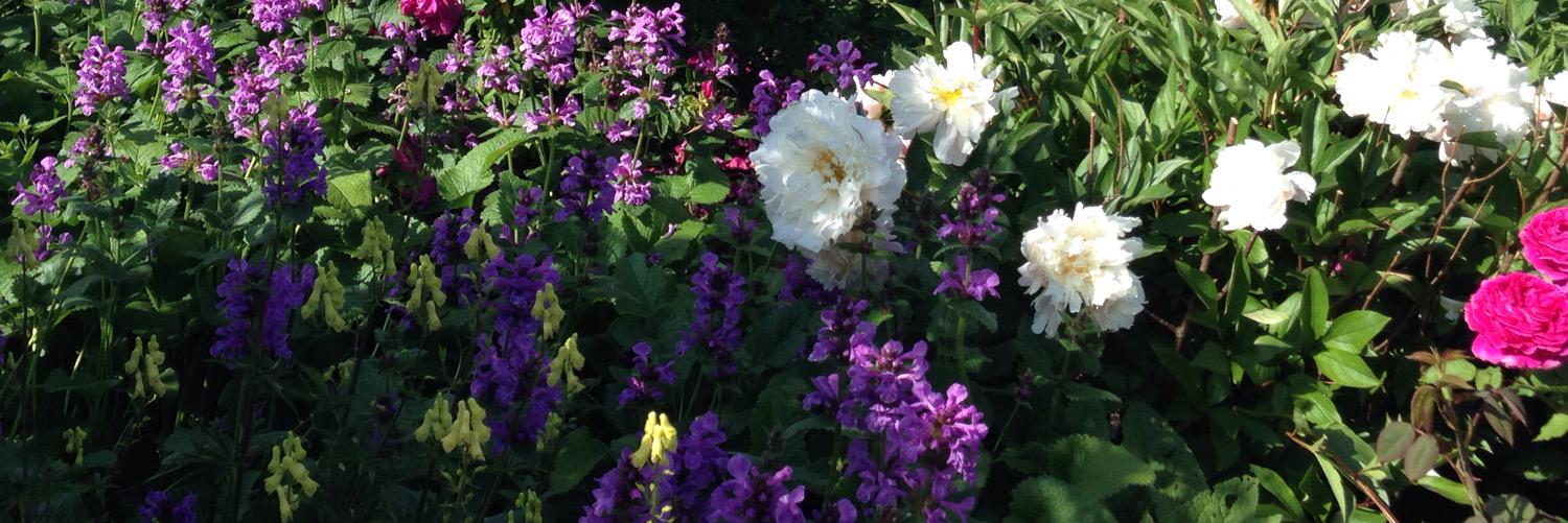 Geraldine Kendall Adams banner