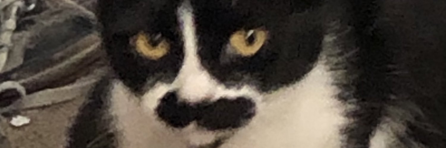 KatesCharmdLife's profile banner image