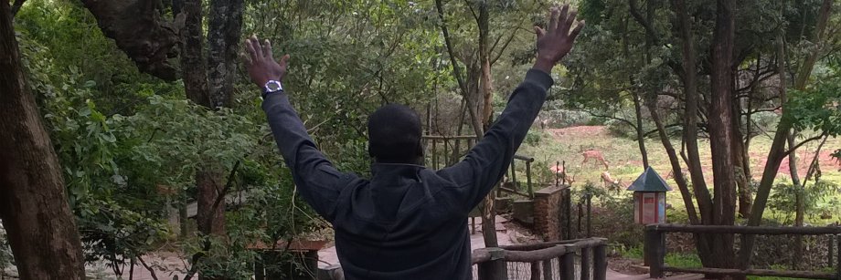 NelsonMomanyi's profile banner image