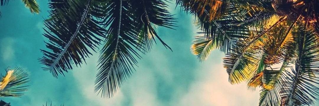 _WiDarma's profile banner image