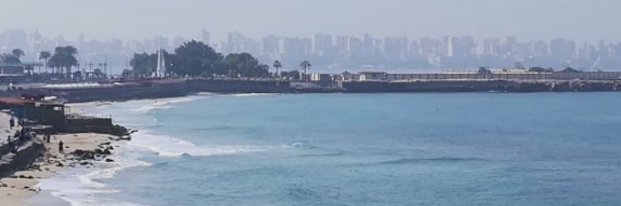 alkhalaf45's profile banner image