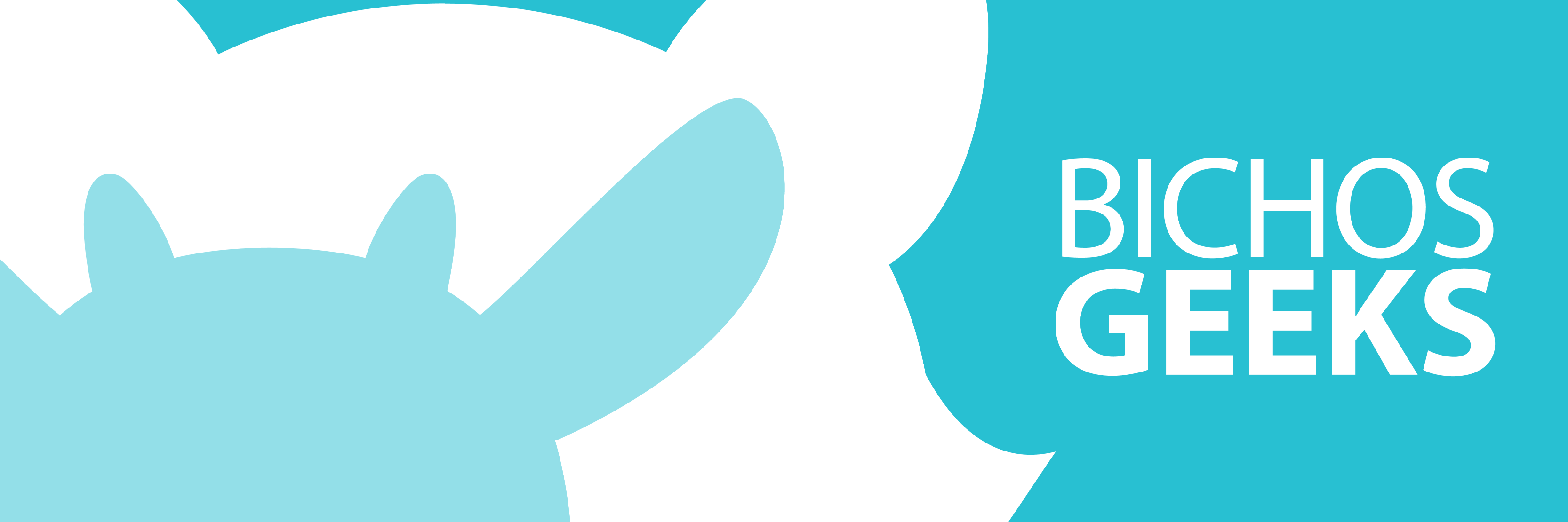 BichosGeeks's profile banner image