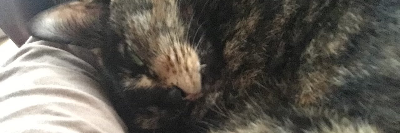 杉本＝ヨハネ@FT書房 banner