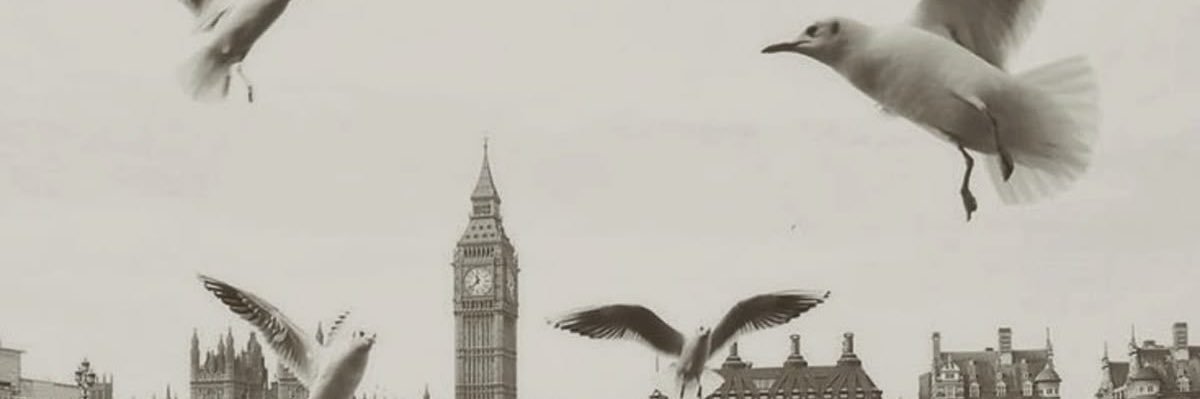 𝕹𝖆𝖈𝖍𝖔 banner