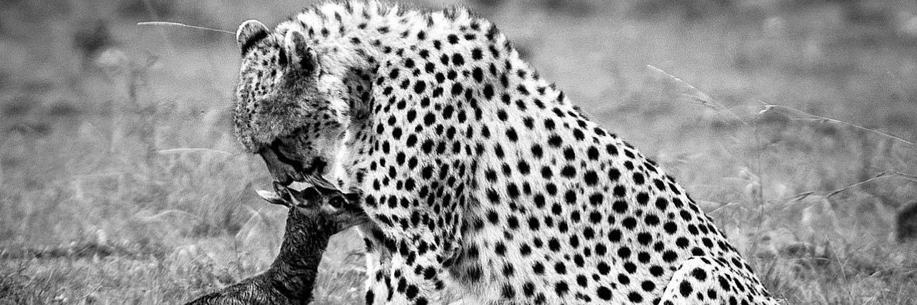 MF_503's profile banner image