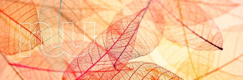 SusanneTenDoesschate banner