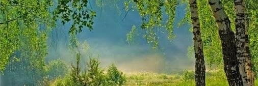 Nikolayai's profile banner image