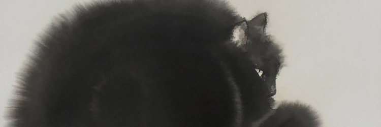 Faustooctavo's profile banner image