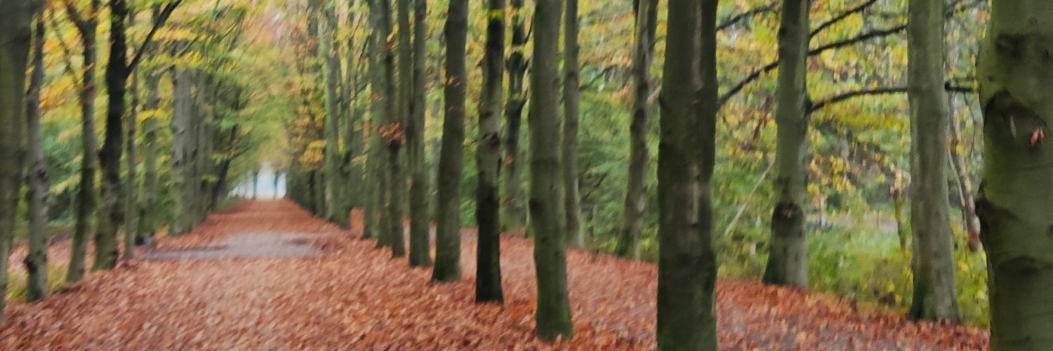 Ypisch's profile banner image