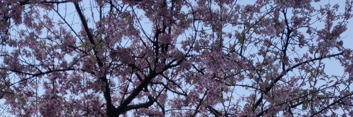 _Jahnavi_'s profile banner image
