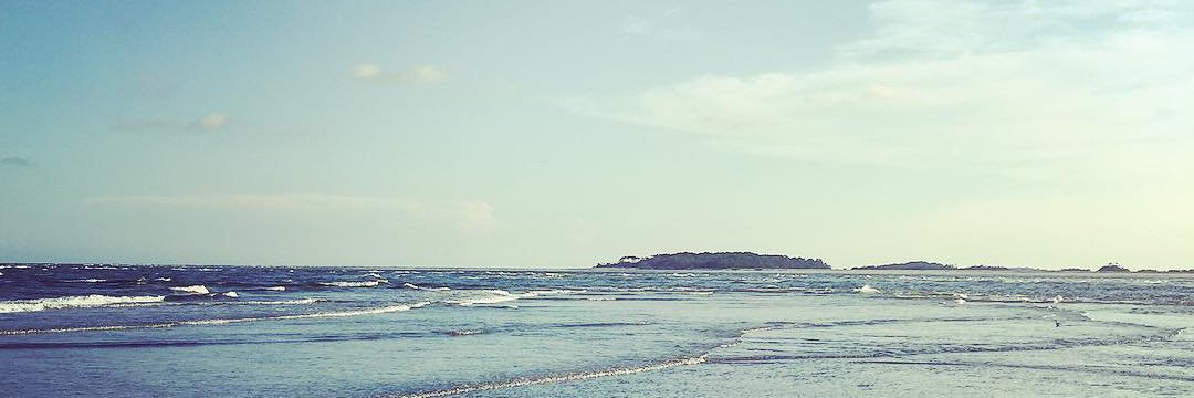 enderbyPPL's profile banner image