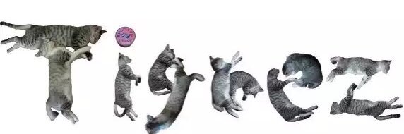 tigrez's profile banner image