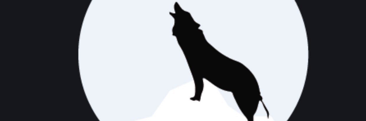 D Dash banner