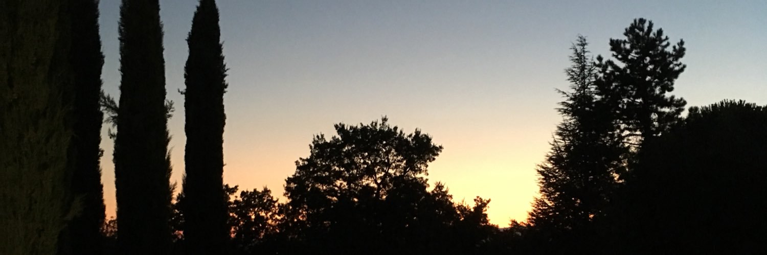 chgarreau's profile banner image