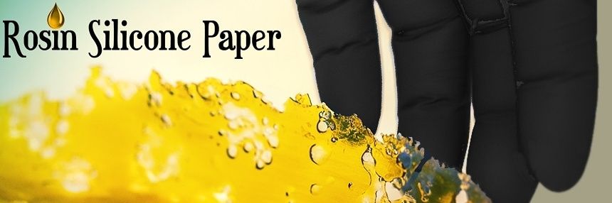 rosin_paper's profile banner image