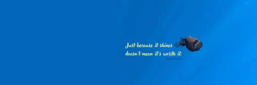 Abby 💙 banner