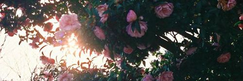 _asdfghjx's profile banner image