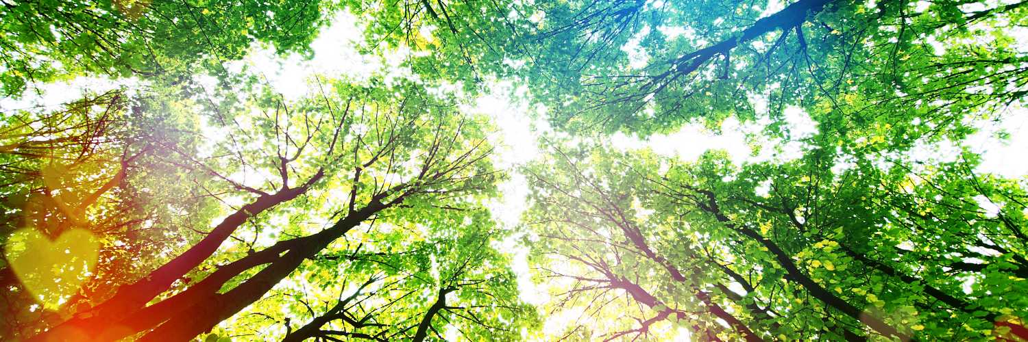 hellogreen_it's profile banner image