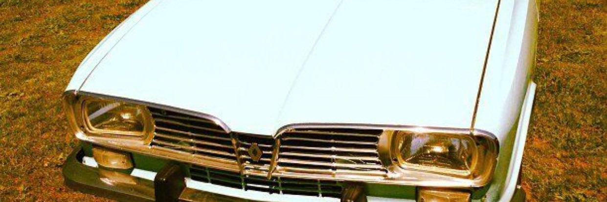 Sandro Goossen banner