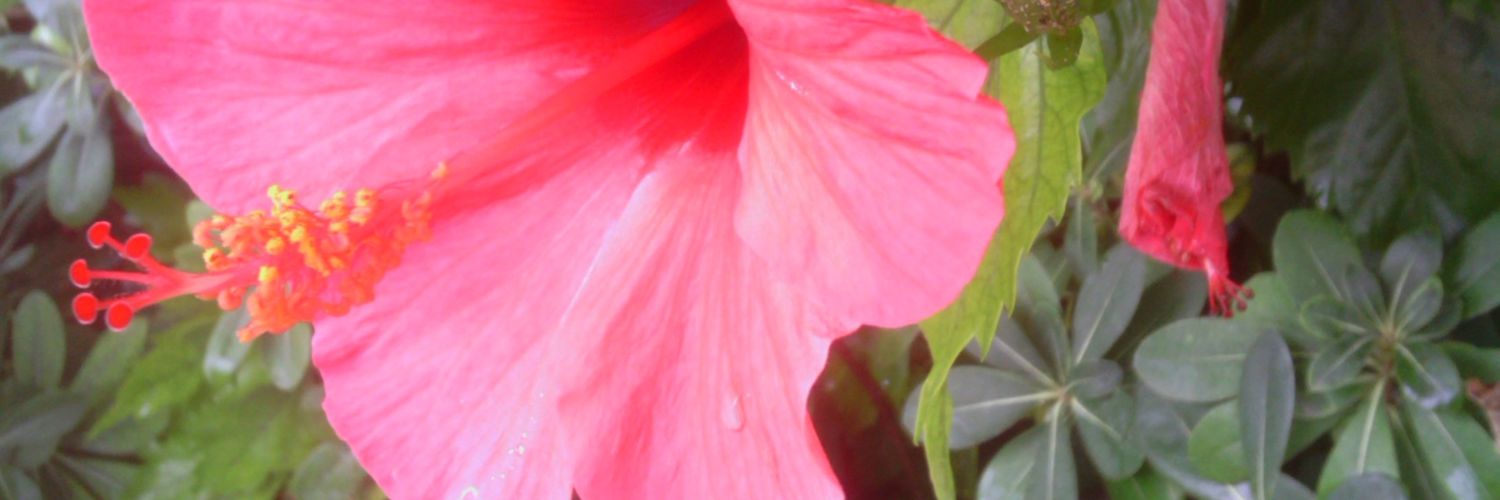 Fgatellier's profile banner image