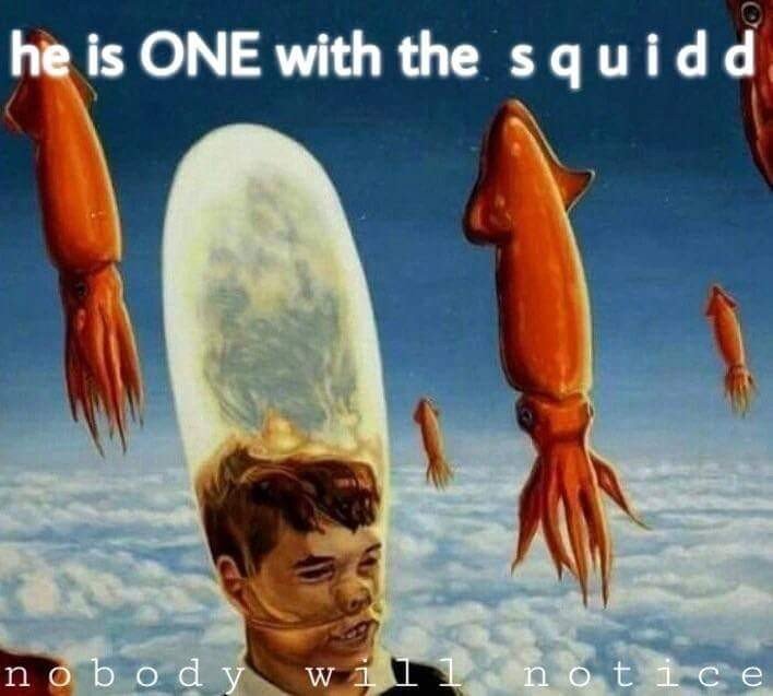 agitated squid banner