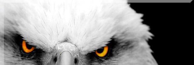 ergngnr's profile banner image