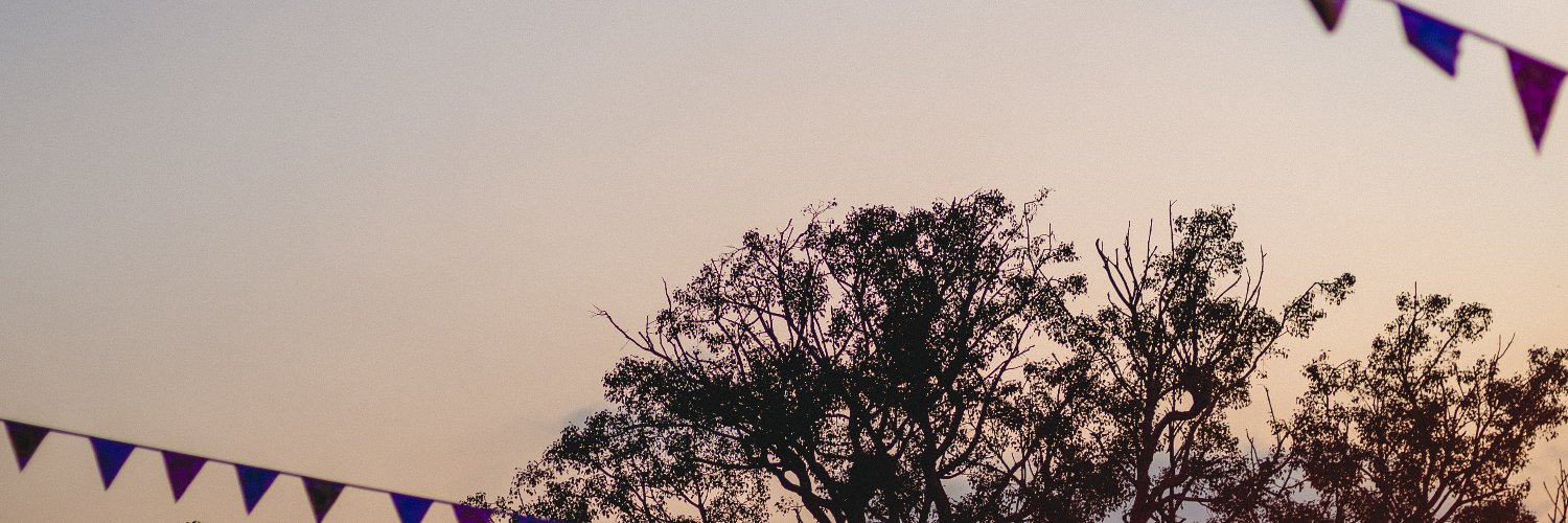 Have Panic. Will Disco. banner