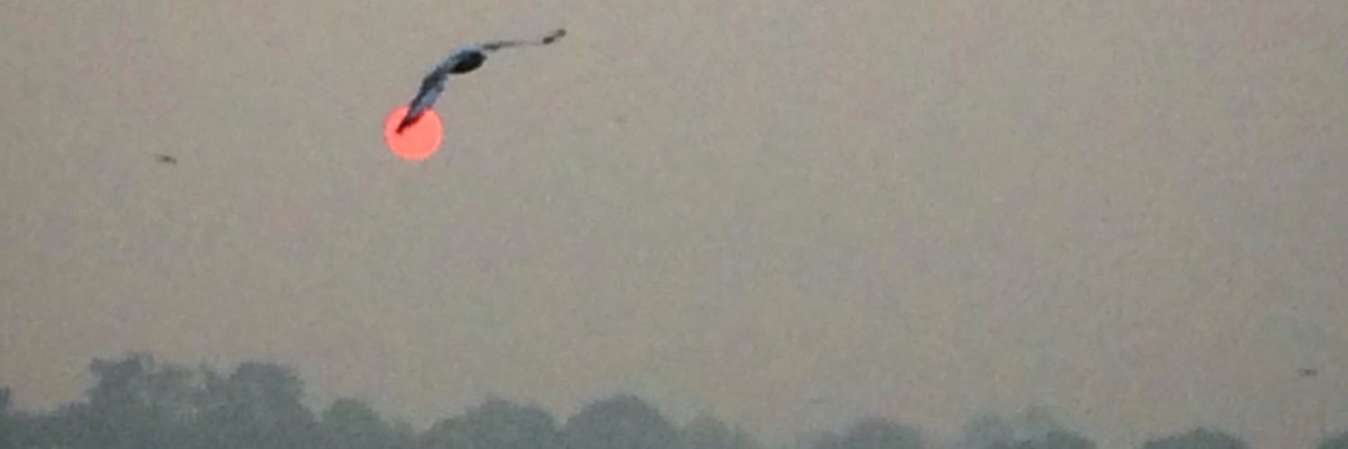 mkavita's profile banner image