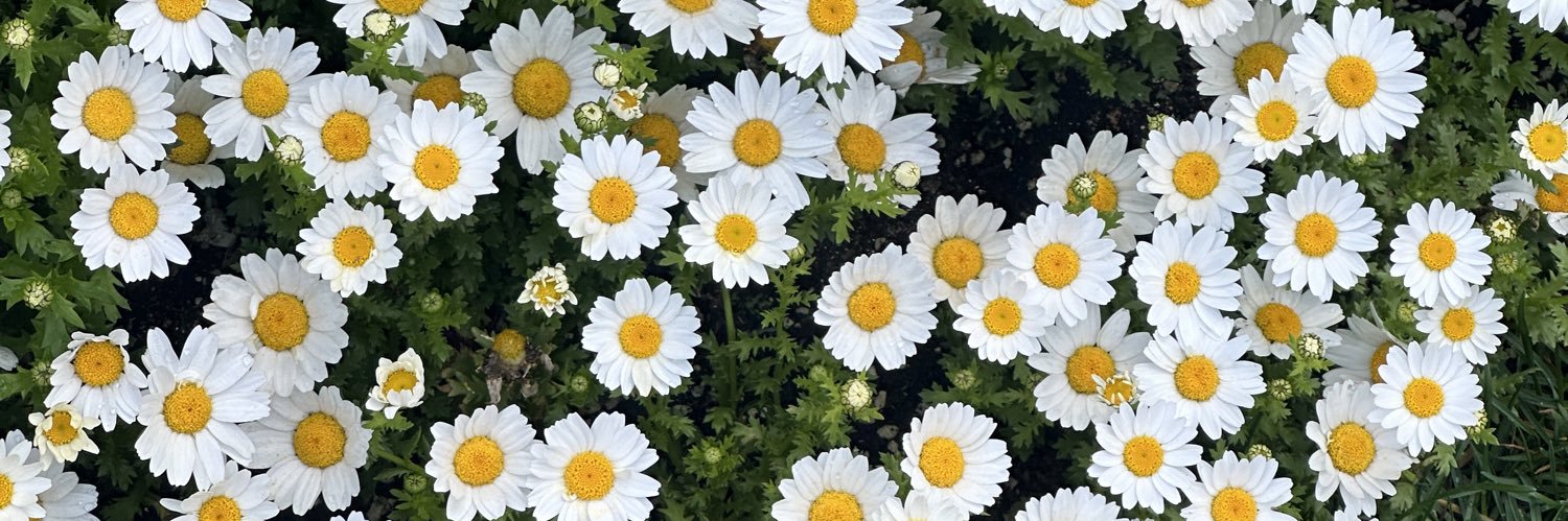 mdy910's profile banner image