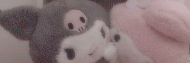 catsnaa's profile banner image
