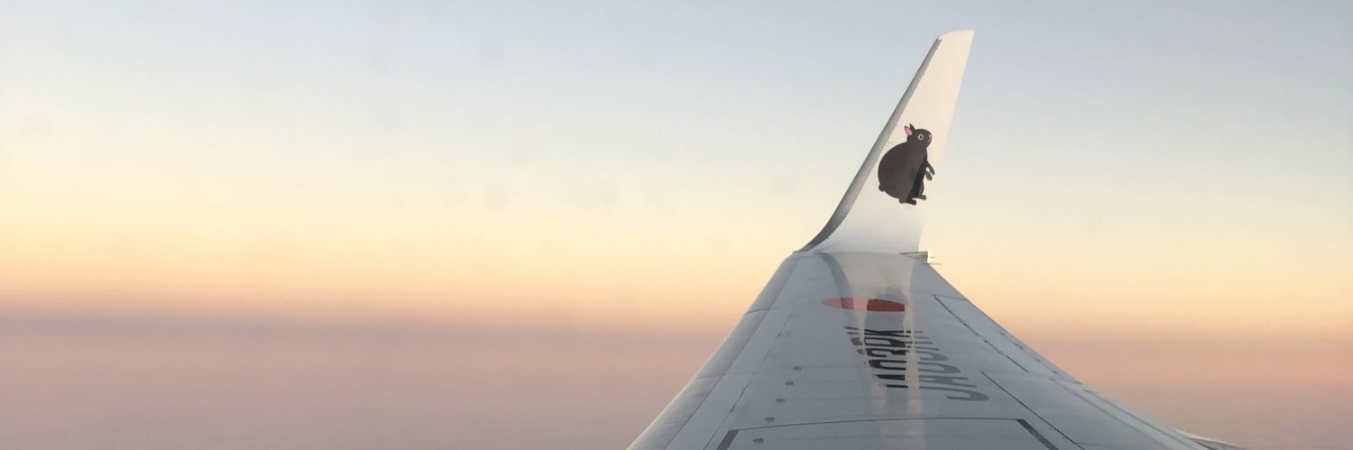 ami___pi's profile banner image