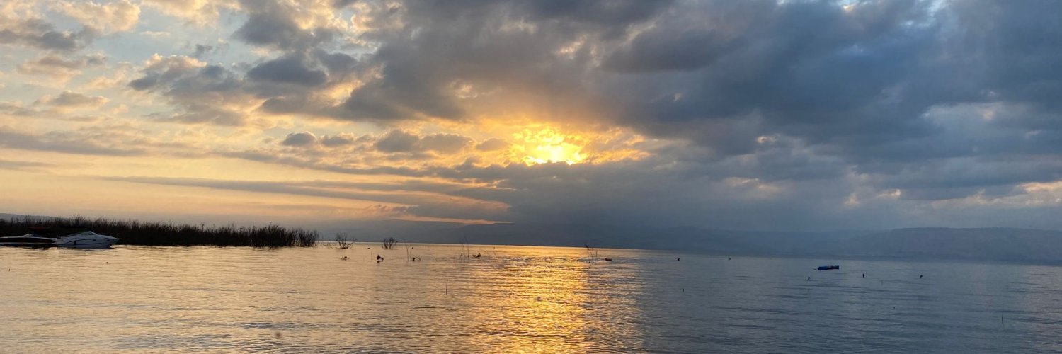 MottiNeiger's profile banner image