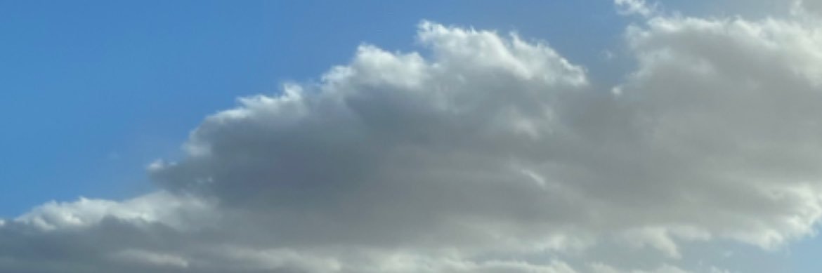 Wendy Bevan banner