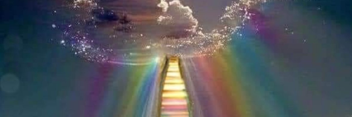 rumi_h123's profile banner image