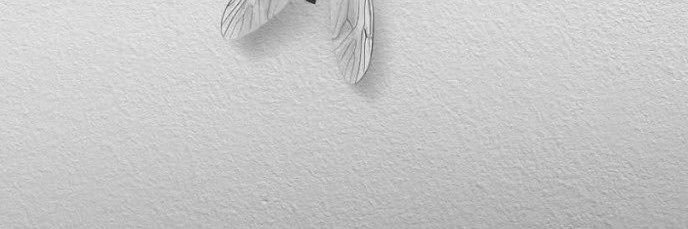 sir_tochi_'s profile banner image