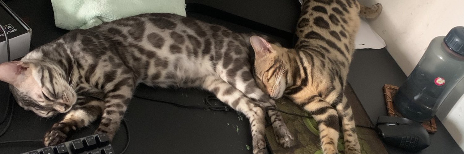BryanSOUR's profile banner image
