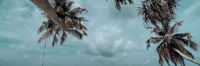 iav89's profile banner image
