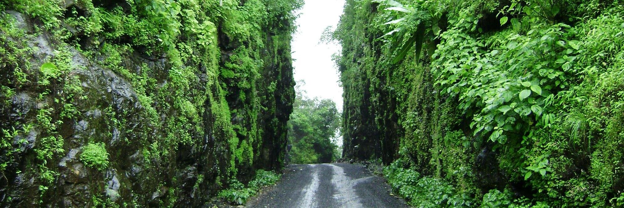 Sachin Gosavi banner