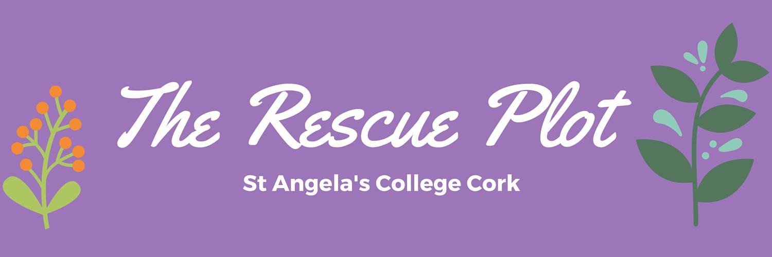 RescuePlot's profile banner image