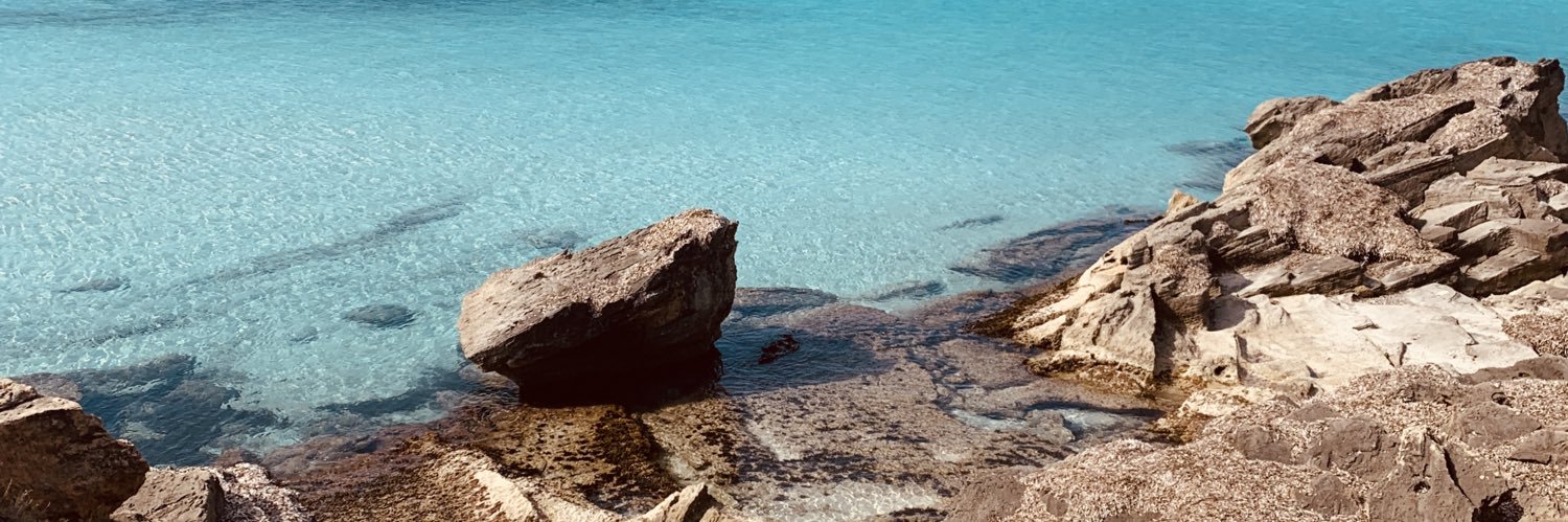 Josep Carbonell banner