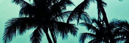 MissK0911's profile banner image