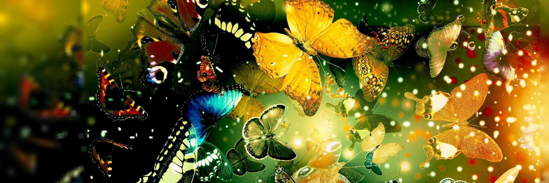 jaikumar756's profile banner image
