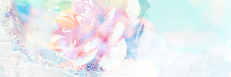 mihocinema's profile banner image