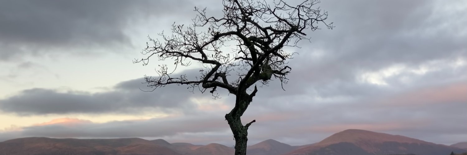 Michelle Staggs Kelsall banner