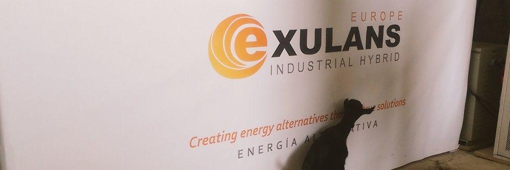 EXULANSEUROPE's profile banner image