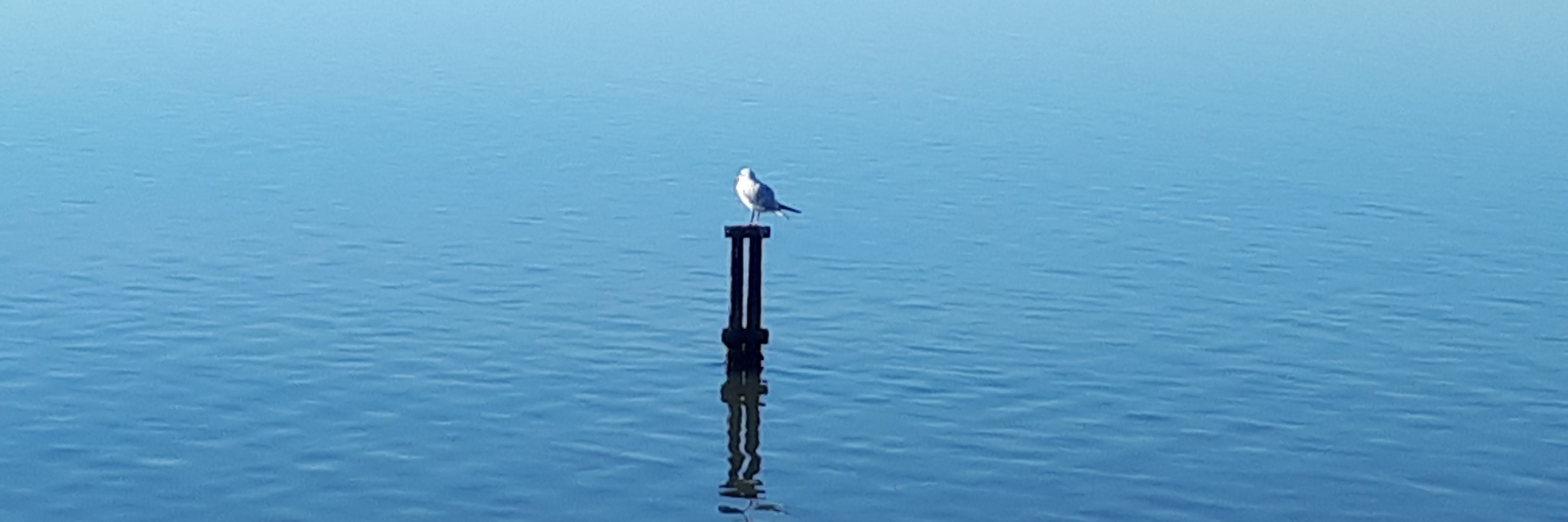 sebvlm's profile banner image