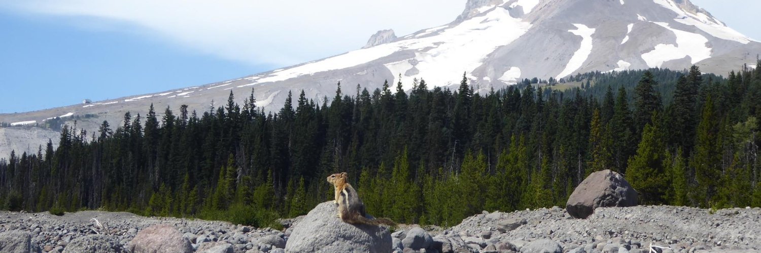 Hayley Warren banner