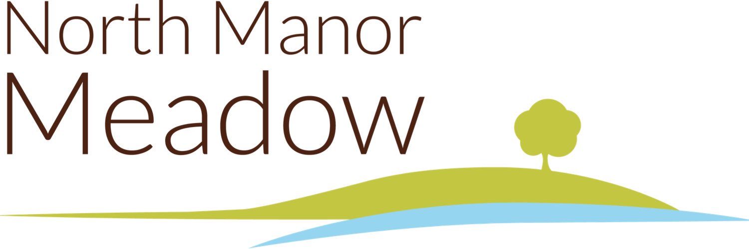 nmanormeadow's profile banner image