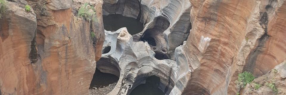 palesambae's profile banner image