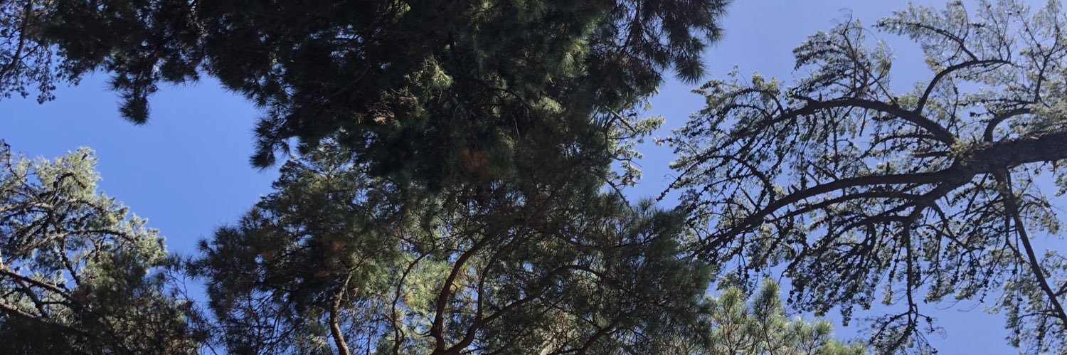 Scott Emulsion banner